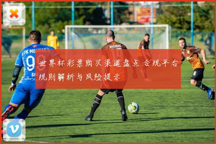 世界杯彩票购买渠道盘点 合规平台规则解析与风险提示